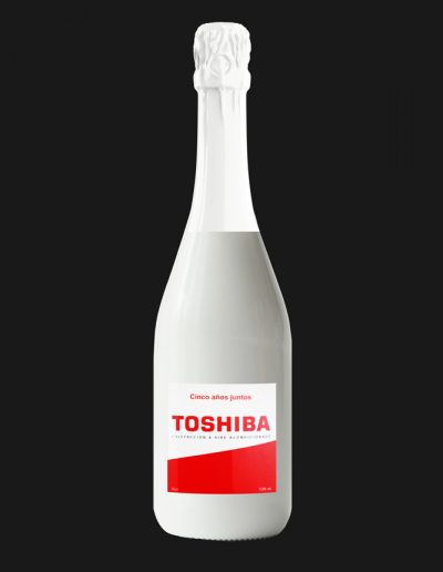 Toshiba-1