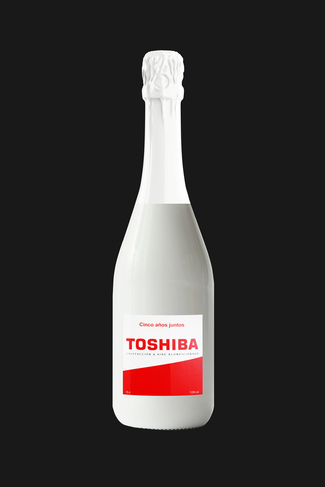 Toshiba-1